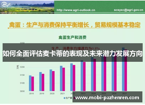如何全面评估麦卡蒂的表现及未来潜力发展方向