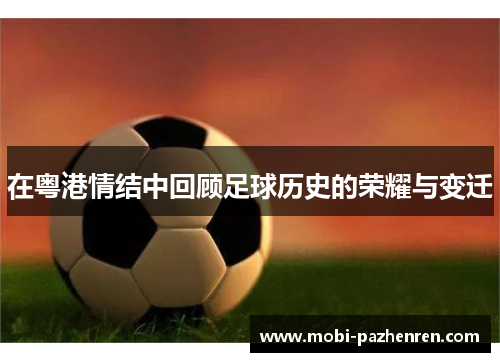 在粤港情结中回顾足球历史的荣耀与变迁