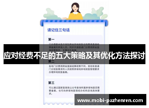 应对经费不足的五大策略及其优化方法探讨
