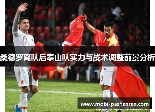 桑德罗离队后泰山队实力与战术调整前景分析