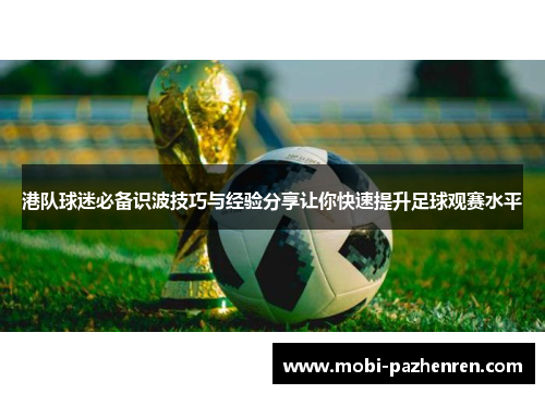 港队球迷必备识波技巧与经验分享让你快速提升足球观赛水平