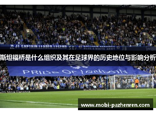 斯坦福桥是什么组织及其在足球界的历史地位与影响分析