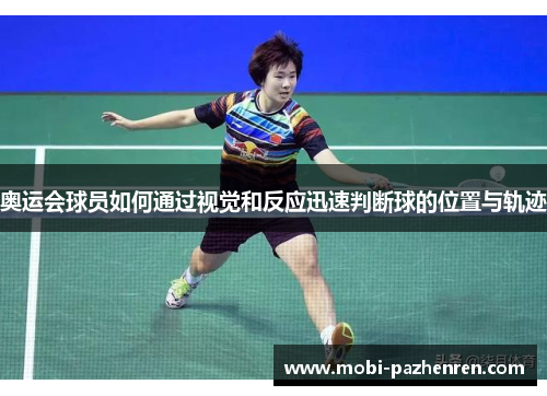 奥运会球员如何通过视觉和反应迅速判断球的位置与轨迹
