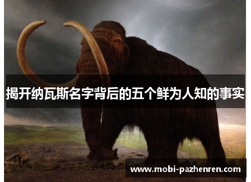 揭开纳瓦斯名字背后的五个鲜为人知的事实