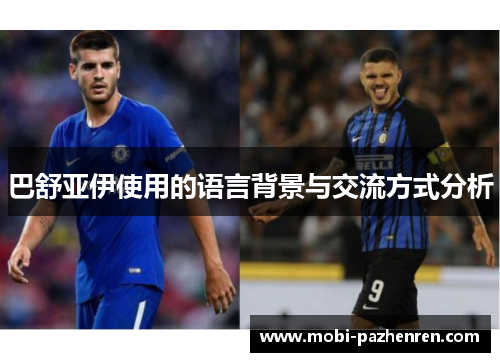 巴舒亚伊使用的语言背景与交流方式分析 巴舒亚伊使用的语言背景与交流方式分析